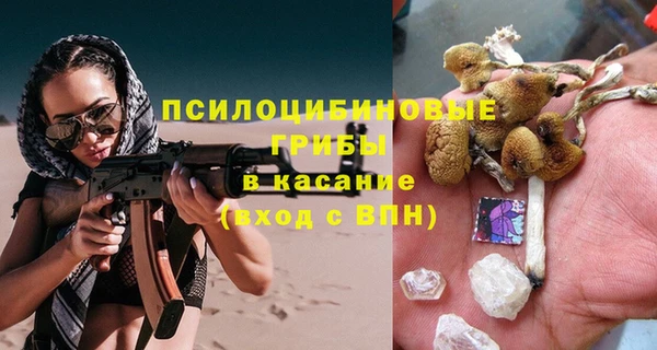 крисы Инта