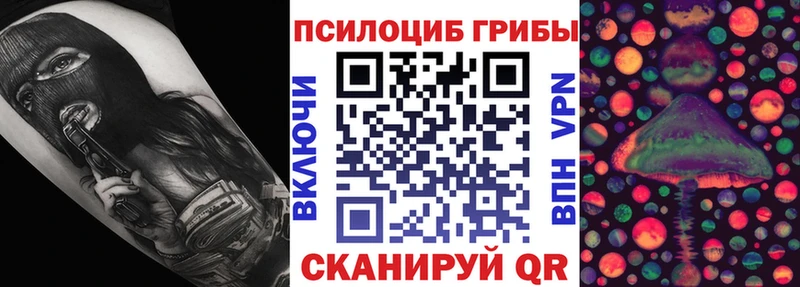 Псилоцибиновые грибы Psilocybine cubensis  Западная Двина 